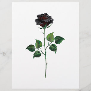 Black ro reklamblad
