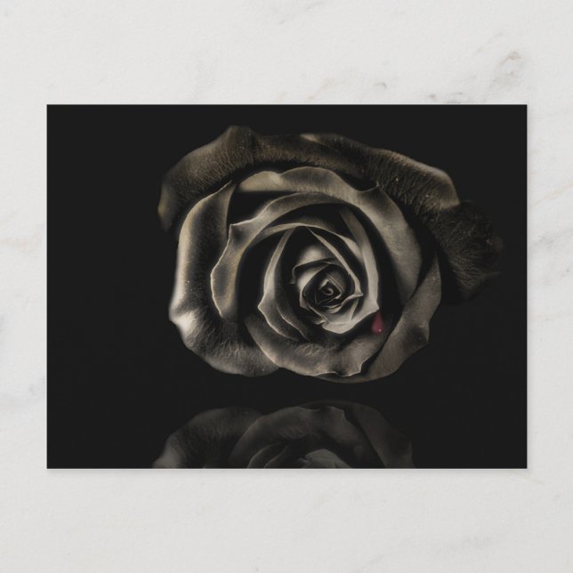 Black ro vykort (Framsida)