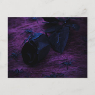 Black Ro vykort