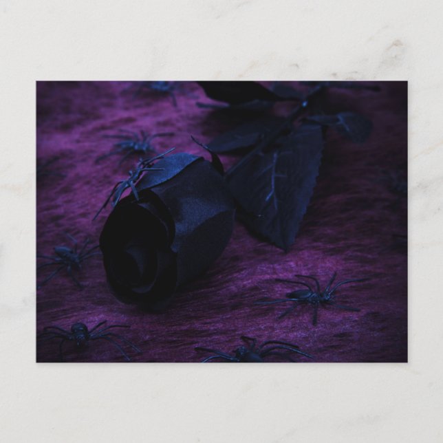 Black Ro vykort (Framsida)