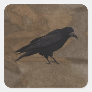 Black Rook British Corvid och Rustic Background Fyrkantigt Klistermärke
