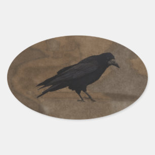 Black Rook British Corvid och Rustic Background Ovalt Klistermärke