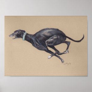 Black Running Greyhound Hund Art-utskrift Poster