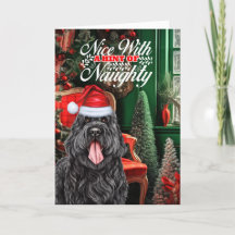 Black Russian Terrier jul Hund Naughty Nice