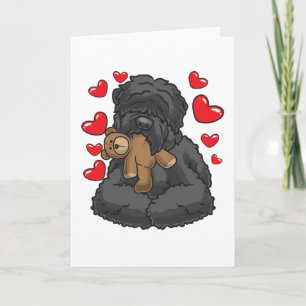 Black Russian Terrier med mjukisdjur Kort