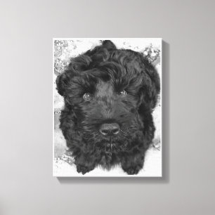 Black Russian Terrier Puppy Canvastryck