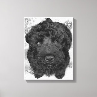 Black Russian Terrier Puppy Canvastryck