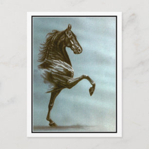 Black Saddleborn Horse Vykort
