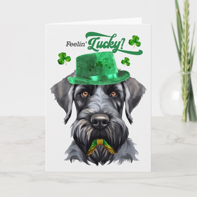 Black Schnauzer Hund Feelin' Lucky St patrick's da Helgkort (Framsida)