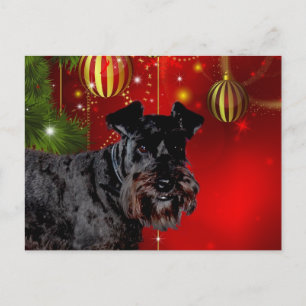 Black Schnauzer-jul Helg Vykort