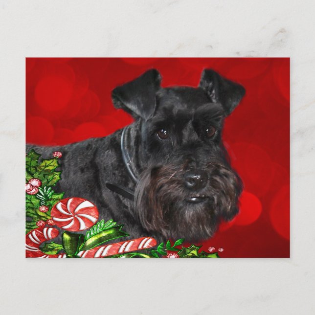 Black Schnauzer-jul Helg Vykort (Framsida)