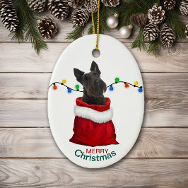 Black Scottish Terrier Hund Helgdag Gift Bag Julgransprydnad Keramik