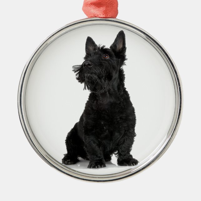 Black Scottish Terrier Julgransprydnad Metall (Framsidan)