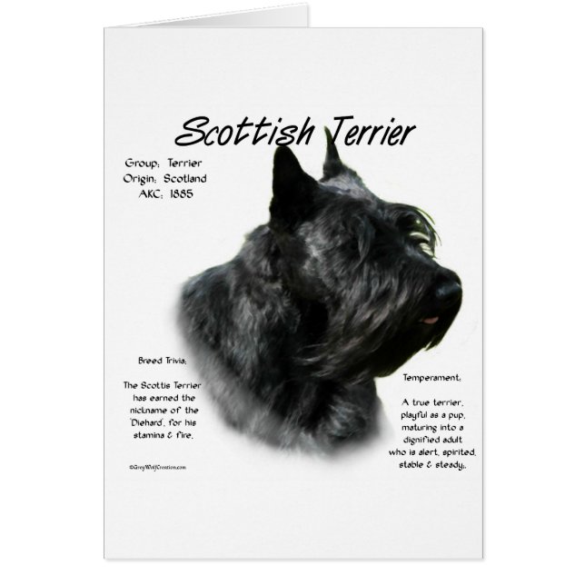 Black Scotty History Hälsningskort (Framsidan)