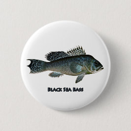 Black Sea bas Knapp