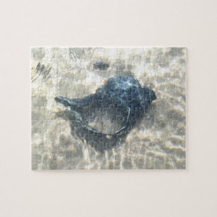 Black Seashell Pussel