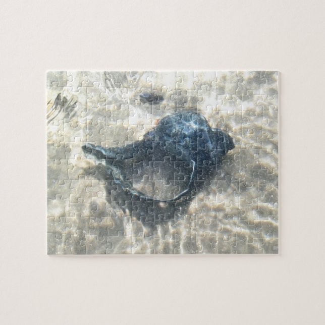 Black Seashell Pussel (Horisontell)