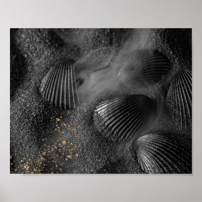 Black Seashells och Sand Tropical Printable Art Poster (Framsidan)