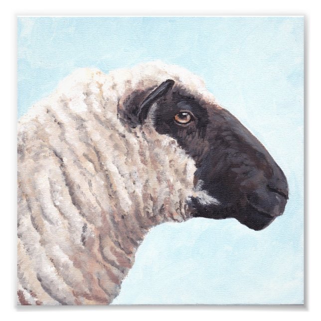 Black Sheep Ansikte II Photo Print Fototryck (Framsidan)