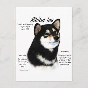 Black Shiba Inu Historik Vykort