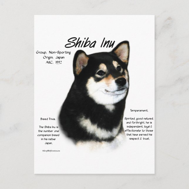 Black Shiba Inu Historik Vykort (Framsida)