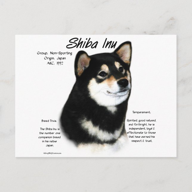 Black Shiba Inu Historik Vykort (Framsida)