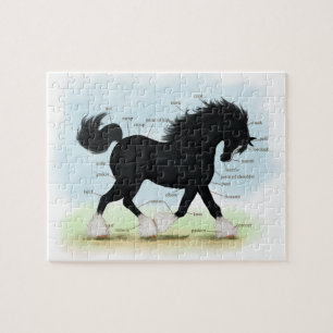 Black Shire Horse Educational Anatomical Chart Pussel