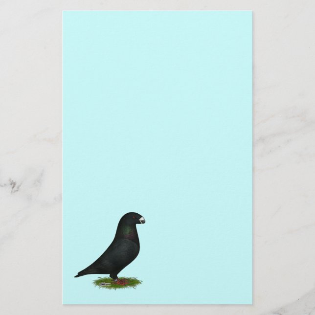 Black Show Racer (Framsida)