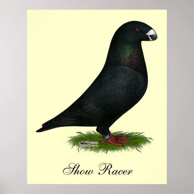 Black Show Racer Poster (Framsidan)