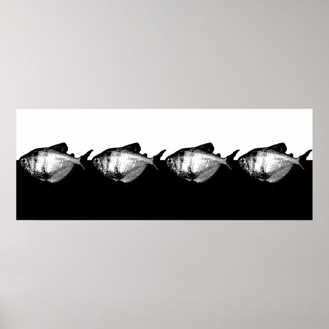 Black Skirt Tetra School Poster (Framsidan)