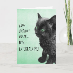 Black Smoke Kitten Kort