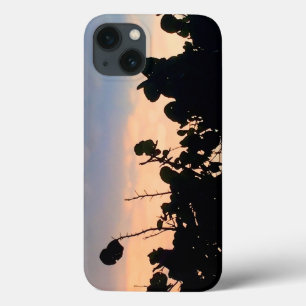 Black Snöre Sunset