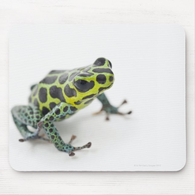 Black Spoted Grönt Poison Dart Frog Musmatta (Framsidan)