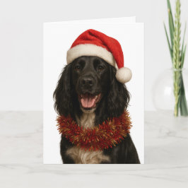 Black Sprocker / Springer Spaniel Christmas card Kort