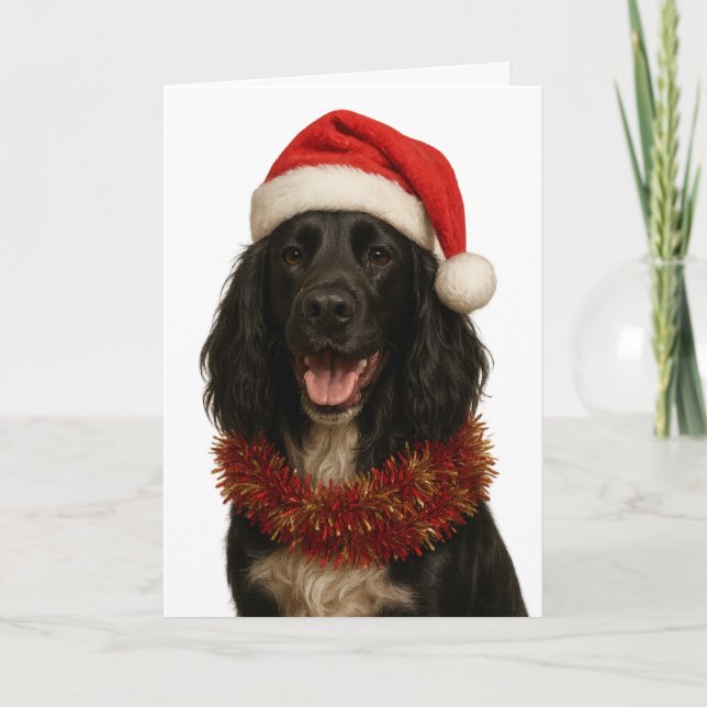 Black Sprocker / Springer Spaniel Christmas card Kort (Framsida)