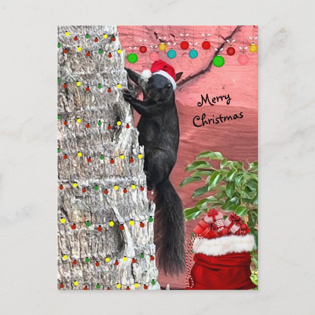 Black Squirrel Christmas Flat Holiday Card Helg Vykort (Framsida)