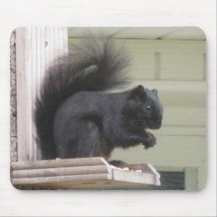 Black Squirrel Mouse Pad Musmatta