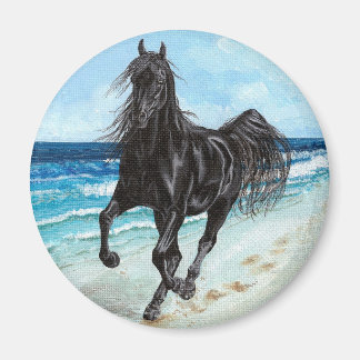 Black Stallion Arabian, rund magnet