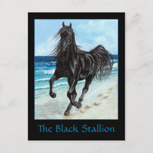 Black Stallion Arabian-vykort Vykort