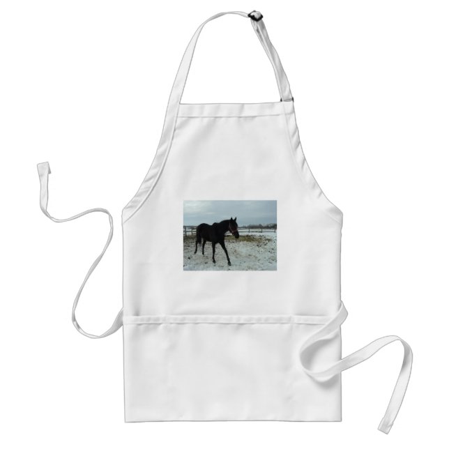 Black Stallion Beauty Förkläde (Framsidan)