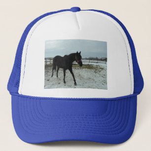 Black Stallion Beauty Keps