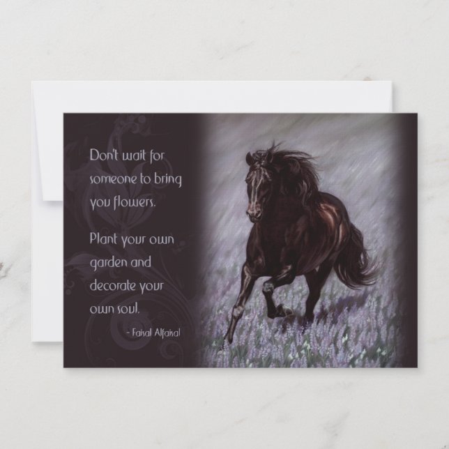 Black Stallion i Fält i Dreams (Framsida)