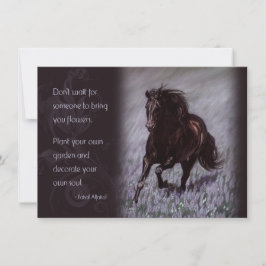 Black Stallion i Fält i Dreams