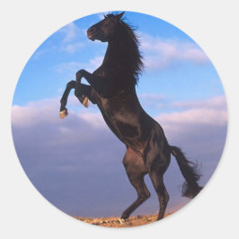 Black Stallion Runt Klistermärke