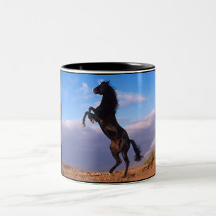 Black Stallion Två-Tonad Mugg