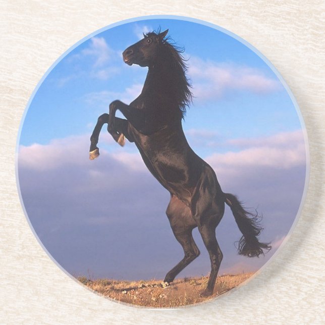 Black Stallion Underlägg Sandsten (Framsidan)