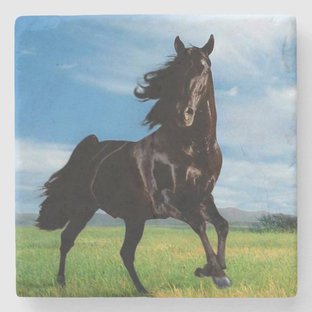 Black Stallion Underlägg Sten (Framsidan)