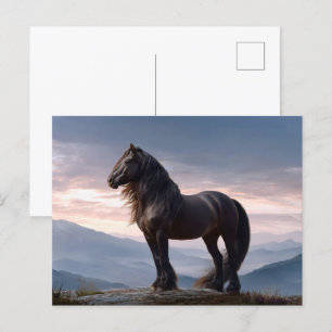 Black Stallion Vild Horse Mountain Top Vykort