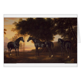 Black Stallions Vintage Painting av George Stubbs Hälsningskort