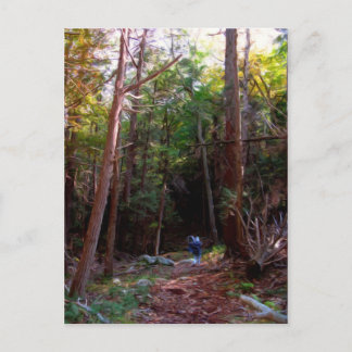 Black Sten Trails, Harriman State Park, New York Vykort